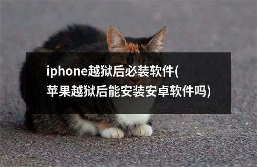 iphone越狱后必装软件(苹果越狱后能安装安卓软件吗)