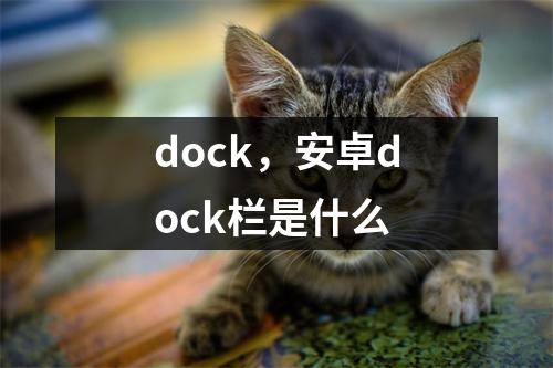 dock，安卓dock栏是什么