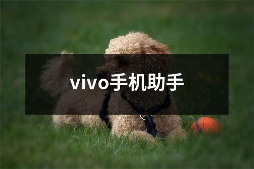 vivo手机助手