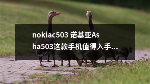 nokiac503 诺基亚Asha503这款手机值得入手吗有何缺点
