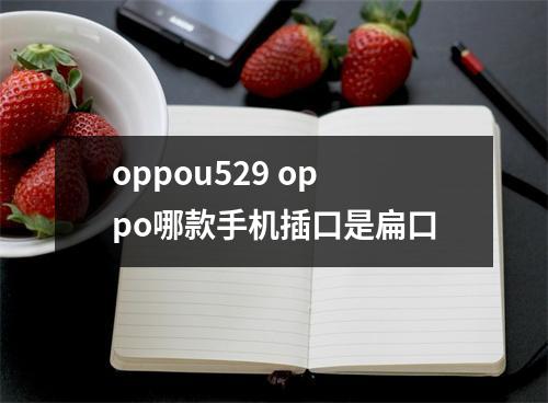 oppou529 oppo哪款手机插口是扁口