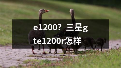 e1200？三星gte1200r怎样