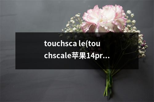 touchsca le(touchscale苹果14pro可以用吗)