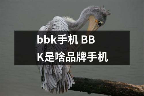bbk手机 BBK是啥品牌手机