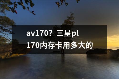 av170？三星pl170内存卡用多大的