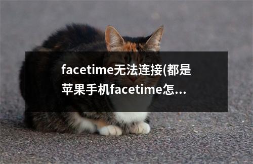 facetime无法连接(都是苹果手机facetime怎么识别不了)