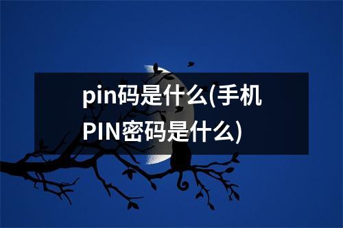 pin码是什么(手机PIN密码是什么)