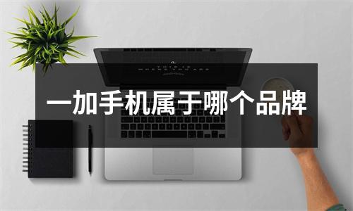 一加手机属于哪个品牌