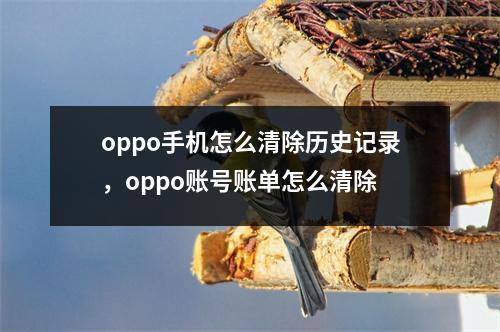 oppo手机怎么清除历史记录，oppo账号账单怎么清除