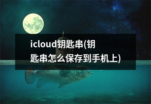 icloud钥匙串(钥匙串怎么保存到手机上)