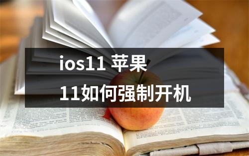 ios11 苹果11如何强制开机