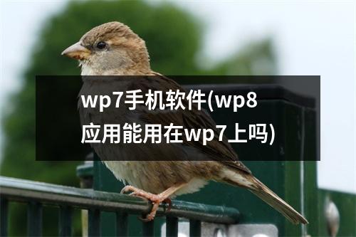 wp7手机软件(wp8应用能用在wp7上吗)