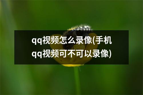qq视频怎么录像(手机qq视频可不可以录像)