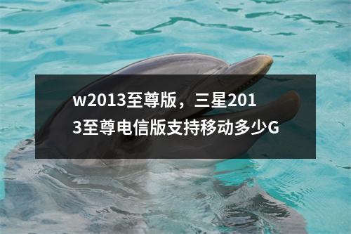 w2013至尊版，三星2013至尊电信版支持移动多少G