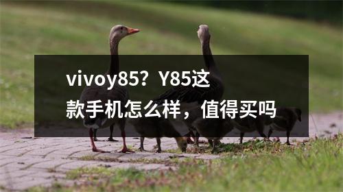 vivoy85？Y85这款手机怎么样，值得买吗