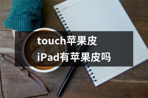 touch苹果皮 iPad有苹果皮吗
