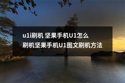 u1i刷机 坚果手机U1怎么刷机坚果手机U1图文刷机方法