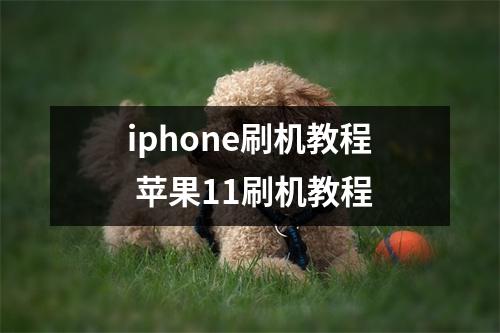 iphone刷机教程 苹果11刷机教程