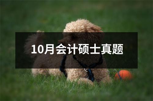 10月会计硕士真题