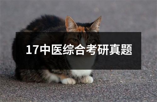 17中医综合考研真题