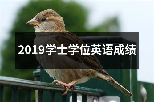 2019学士学位英语成绩