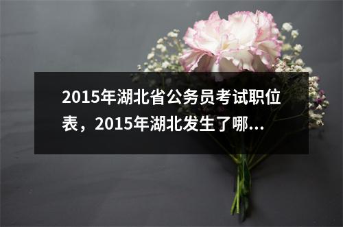 2015年湖北省公务员考试职位表，2015年湖北发生了哪些事