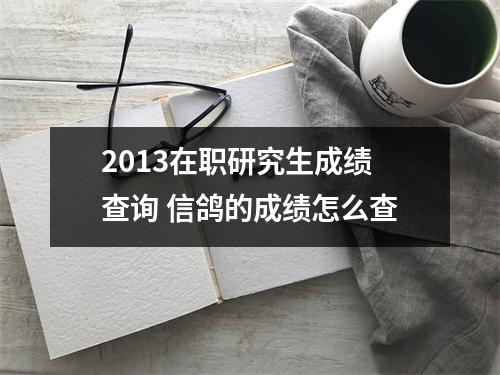 2013在职研究生成绩查询 信鸽的成绩怎么查