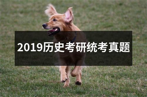 2019历史考研统考真题