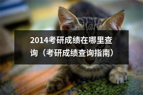 2014考研成绩在哪里查询（考研成绩查询指南）