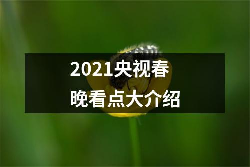 2021央视春晚看点大介绍