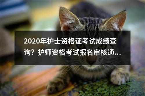 2020年护士资格证考试成绩查询？护师资格考试报名审核通过怎么查询