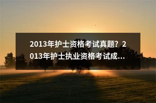 2013年护士资格考试真题？2013年护士执业资格考试成绩现在怎么查询不到