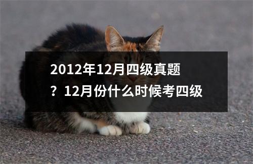 2012年12月四级真题？12月份什么时候考四级