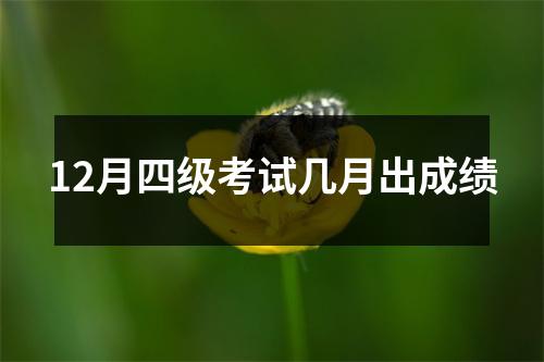 12月四级考试几月出成绩