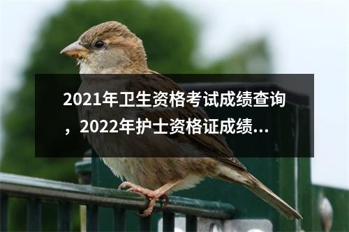 2021年卫生资格考试成绩查询，2022年护士资格证成绩查询时间确定了吗