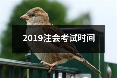 2019注会考试时间