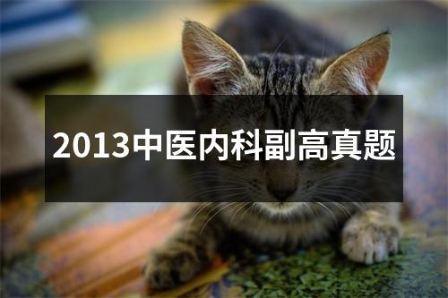 2013中医内科副高真题