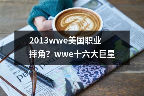 2013wwe美国职业摔角？wwe十六大巨星