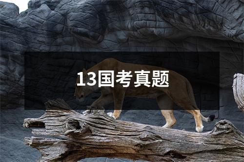 13国考真题
