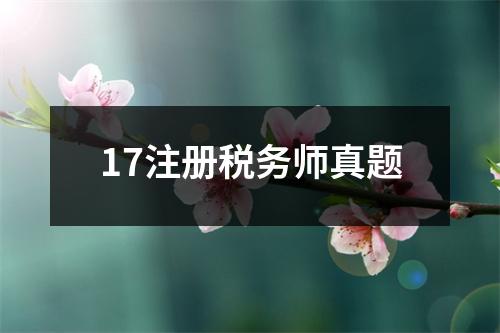 17注册税务师真题