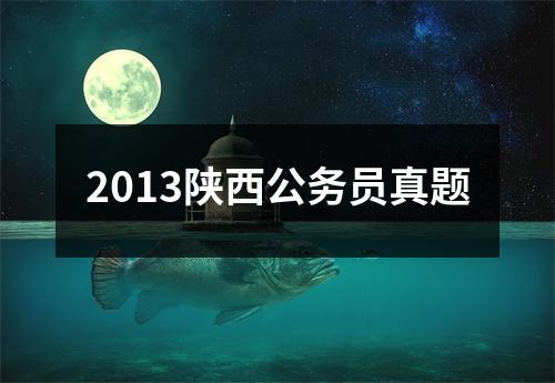 2013陕西公务员真题