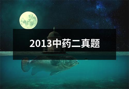 2013中药二真题