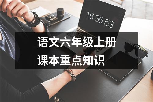 语文六年级上册课本重点知识