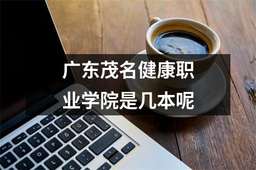 广东茂名健康职业学院是几本呢