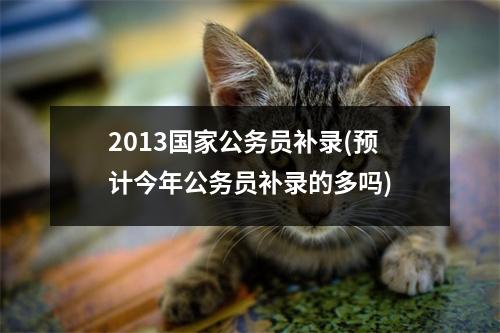2013国家公务员补录(预计今年公务员补录的多吗)