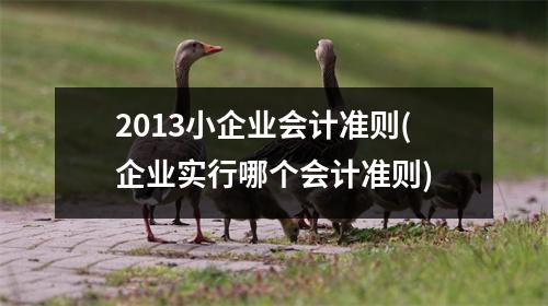 2013小企业会计准则(企业实行哪个会计准则)