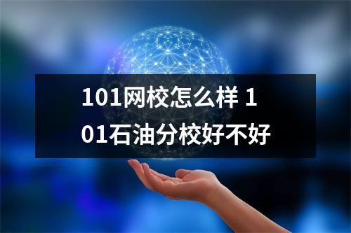 101网校怎么样 101石油分校好不好