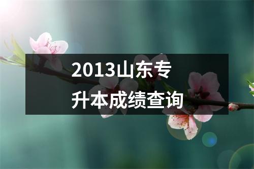 2013山东专升本成绩查询