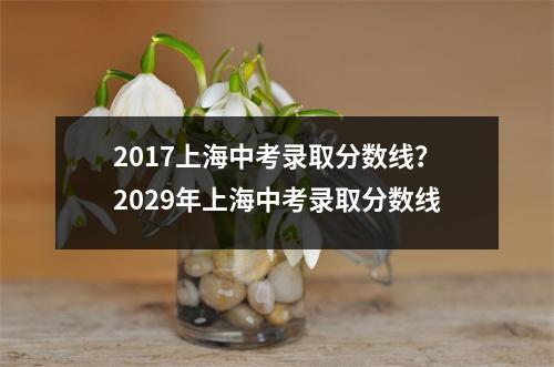 2017上海中考录取分数线？2029年上海中考录取分数线