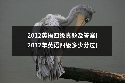 2012英语四级真题及答案(2012年英语四级多少分过)